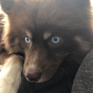 Meet your Posher, Brooke